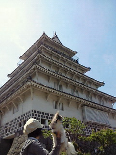 只今旅行中_b0137459_11145278.jpg