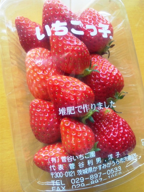 いちごっこ。_c0119259_152437.jpg