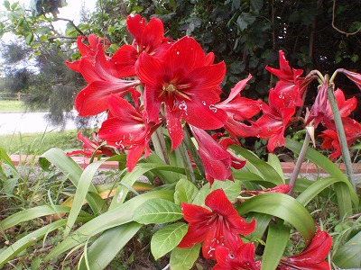 c0180460_0101480.jpg