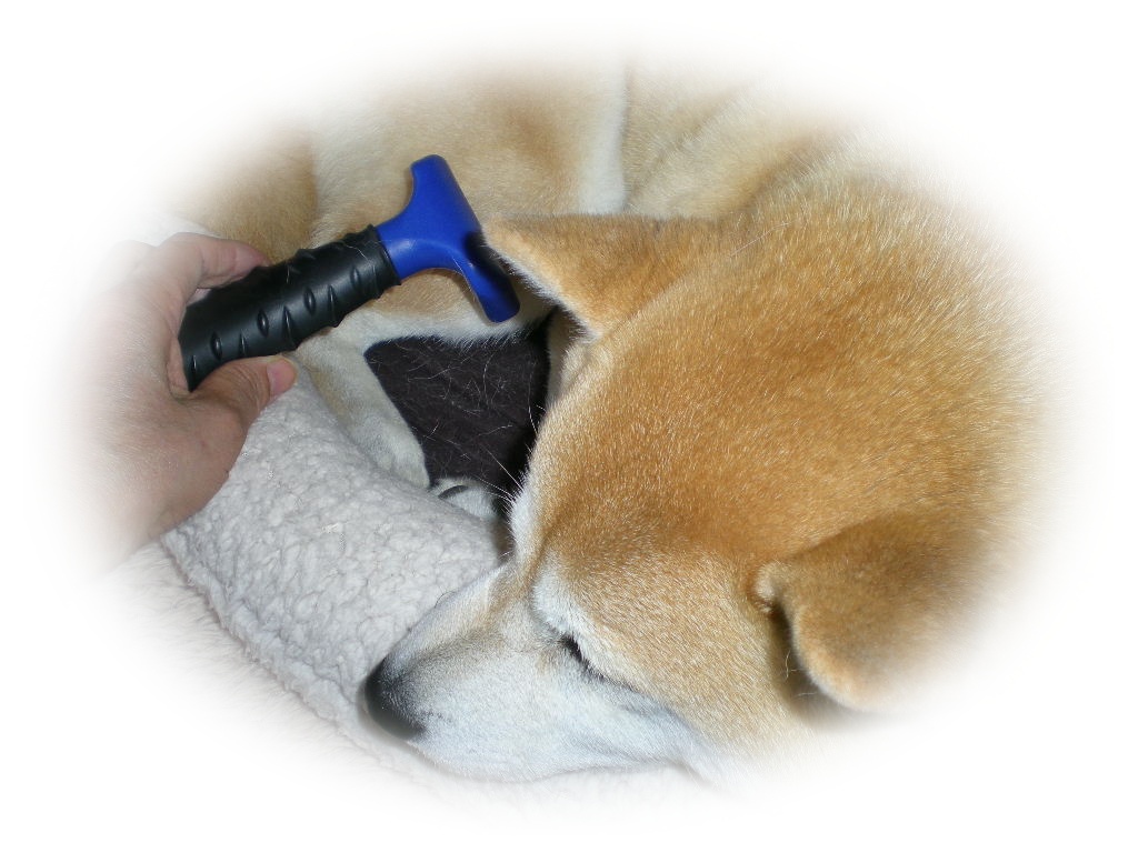 2010年4月17日(土)季節はずれの大寒!_f0060461_955679.jpg