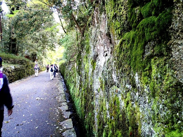 歩育・ＪＲふれあいハイキングｉｎ宇治_b0044663_23524659.jpg