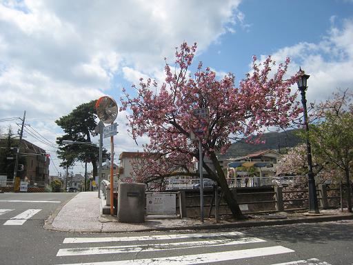 気持ちのいい日です。_f0205367_19304052.jpg