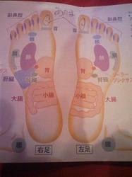 息抜きは大切ですね!_a0087471_23591824.jpg