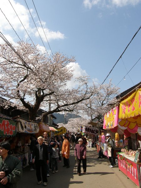 祭りは明日のはずでしょ・・・　～がいせん桜＠岡山_f0200373_2332199.jpg