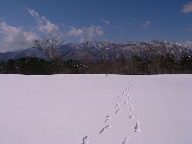 Earth Day Nasu　2010_c0190177_5404315.jpg