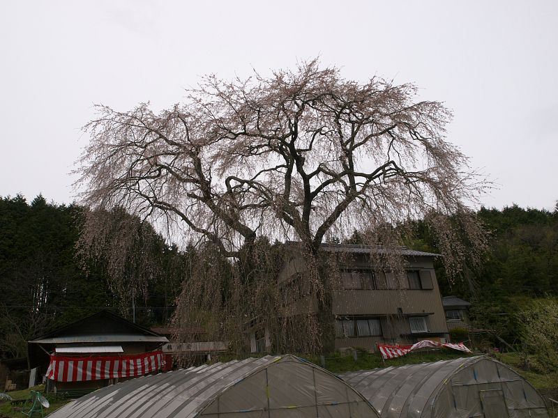 c0109780_1618121.jpg