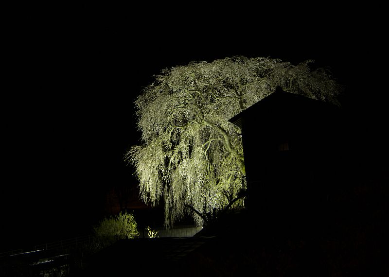 c0109780_16242012.jpg