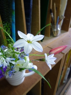 はなにら_f0008680_2175673.jpg