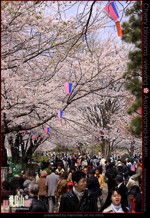 ★花見風情＃飛鳥山公園★_c0159182_20464767.jpg