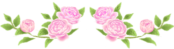 b0136683_1691489.gif