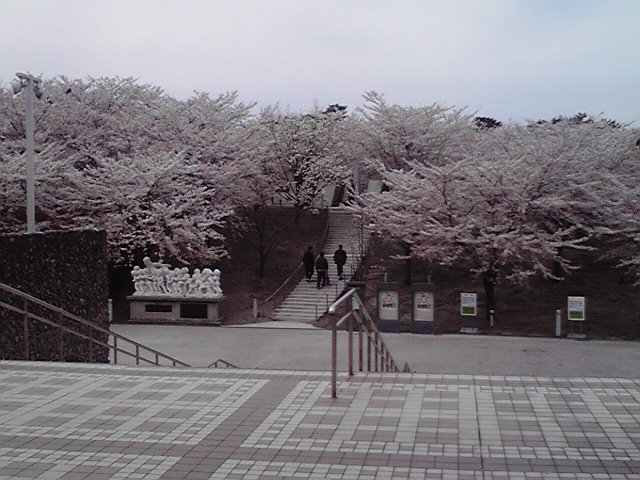 e0046190_16583.jpg