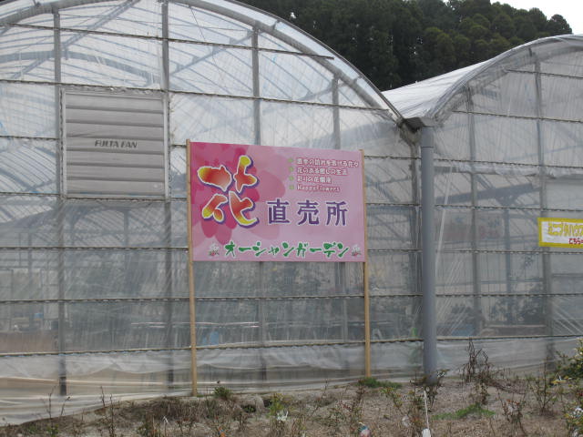 b0184703_23344165.jpg