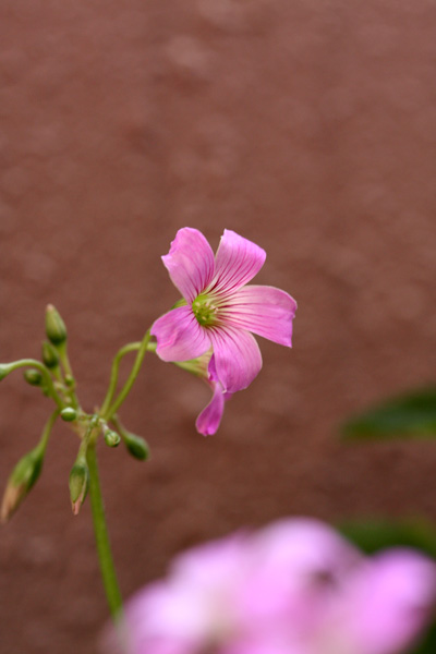 c0011204_23445281.jpg