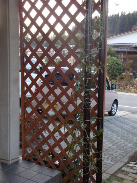 e0175905_2132597.jpg