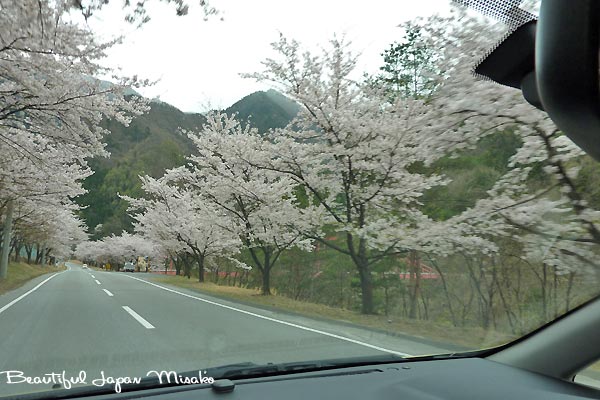 c0067206_1375582.jpg