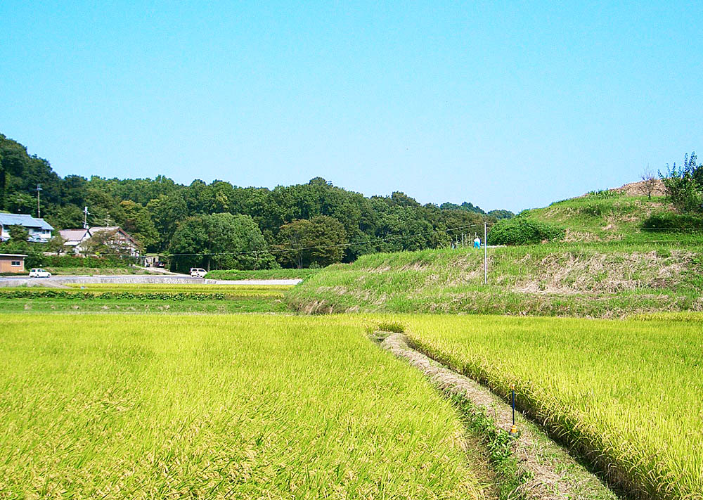 奈良の明日香村 de サイクリング _c0191808_2135775.jpg