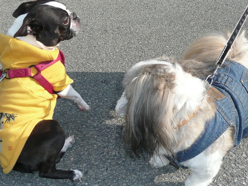 c0165909_1033659.jpg
