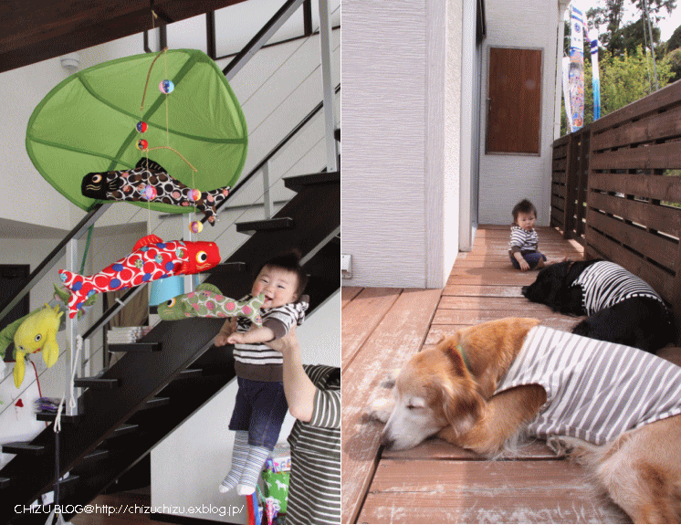 c0017311_2024373.gif