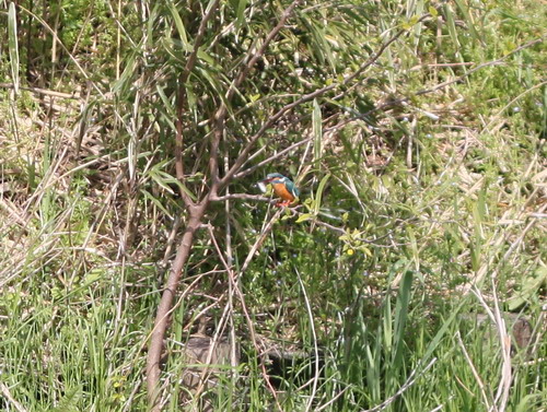 c0101713_21172592.jpg
