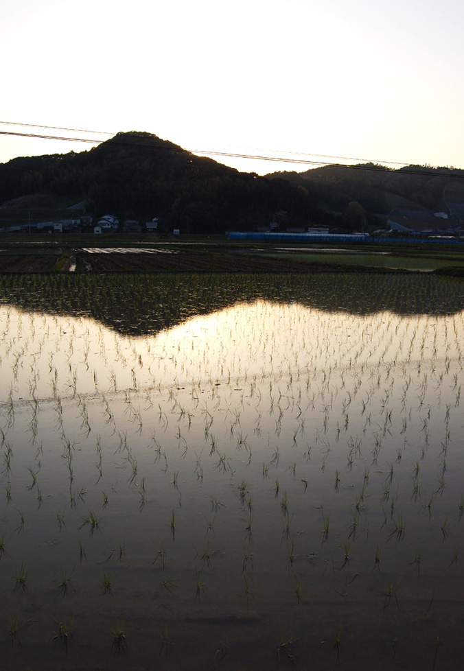 今週末はお天気が良かった~_f0150413_2227376.jpg