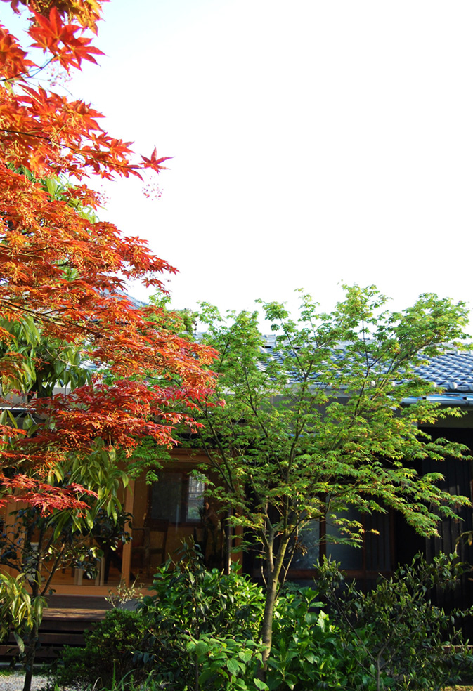 今週末はお天気が良かった~_f0150413_22345719.jpg