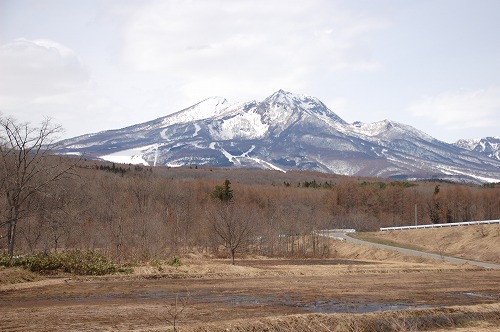 上越高田の桜_c0147116_0241860.jpg