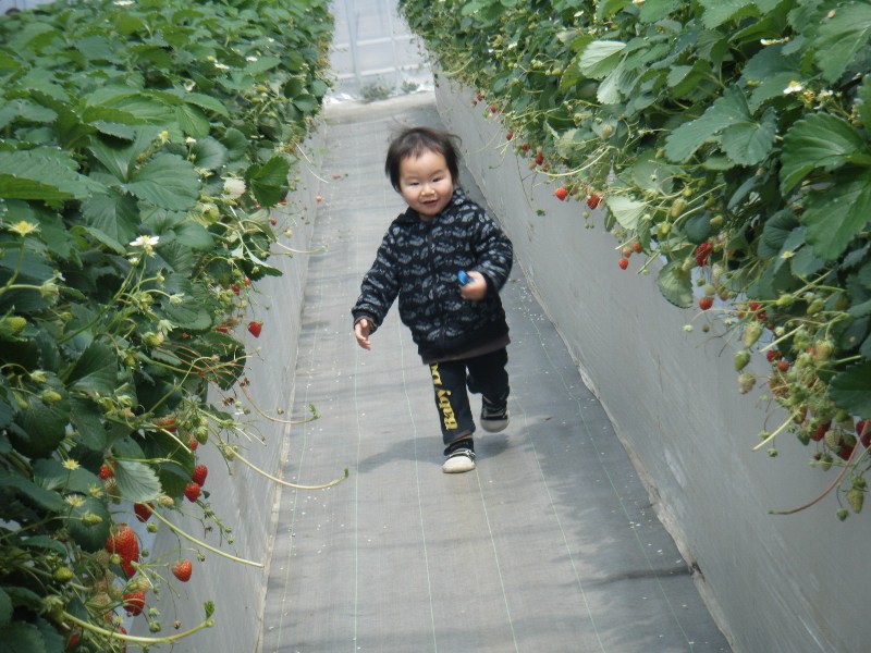 d0023818_2342454.jpg