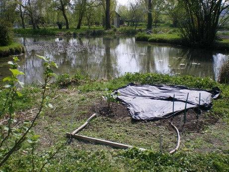 c0124619_6152890.jpg
