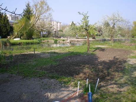 c0124619_6285066.jpg