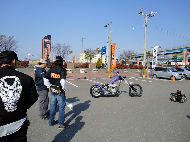 九州は、一気に春が来た!!_a0110720_12401246.jpg
