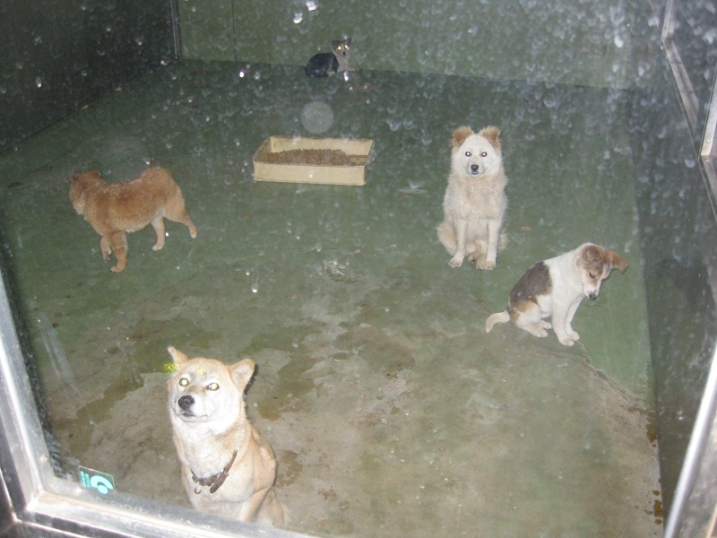f0078320_174163.jpg