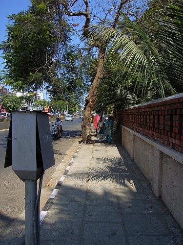 d0004922_19583337.jpg
