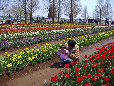 b0132630_15113779.jpg