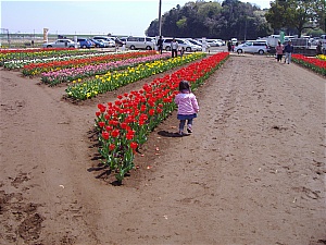 b0132630_15152292.jpg