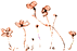 c0093830_1335038.gif