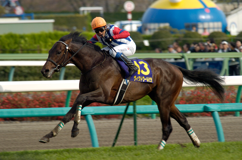 【競馬】ヴィクトワールピサ（2010年皐月賞）額入りミニゼッケン／優勝レイ JRAホームページ｜データファイル｜競走成績データ