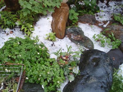 f0132230_2142252.jpg