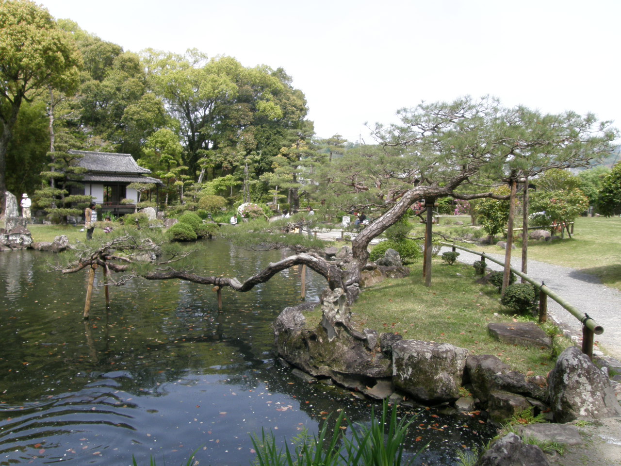 天赦園（てんしゃえん）の白玉藤_c0141933_2243527.jpg