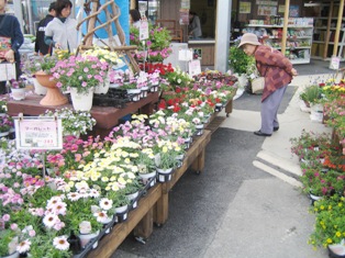 c0118235_20251493.jpg
