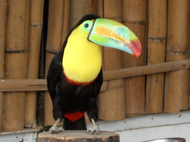 動物園　其の７_c0178540_20142442.jpg