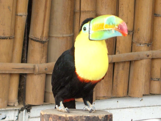 動物園　其の７_c0178540_20183960.jpg