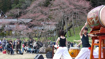 臥龍桜　音楽祭２０１０　開催！_c0220047_8172463.jpg