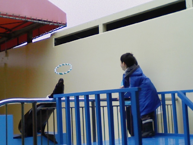 f0111747_2016044.jpg