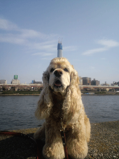 f0203249_23211989.gif