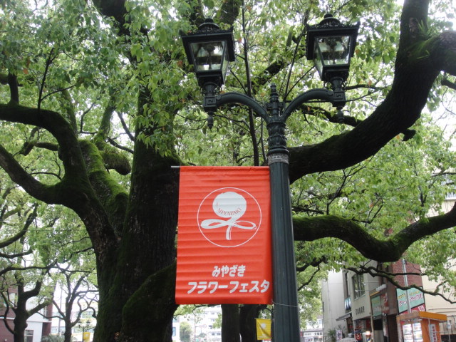 f0036857_0554122.jpg