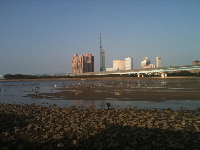 息子の週末 室見川で潮干狩り 能古島の歩き方 今日の島暮らし 息子の週末 室見川で潮干狩り 能古島の歩き方 今日の島暮らし