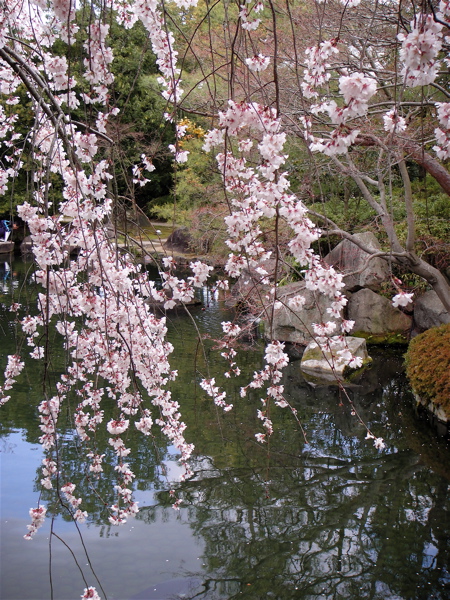 日本庭園の遊び方。　姫路・好古園。　_e0125762_23233426.jpg