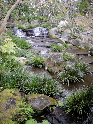 e0125762_23325527.jpg