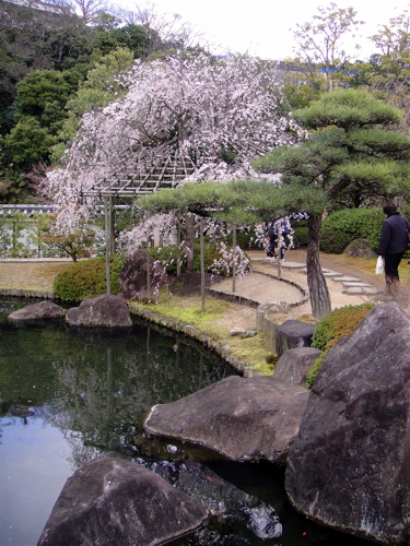 日本庭園の遊び方。　姫路・好古園。　_e0125762_23394215.jpg