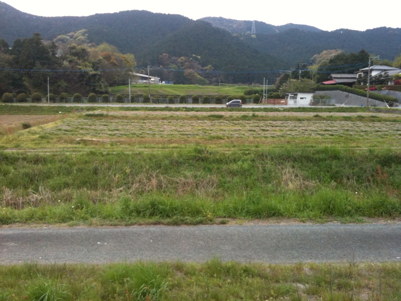 田舎にて_e0170671_23514389.jpg